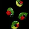 Beetles fridge magnet