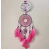 Dream catcher with name made with pink feather